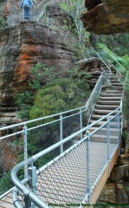 Pedestrian walking bridges honeymoon bridge npws 4